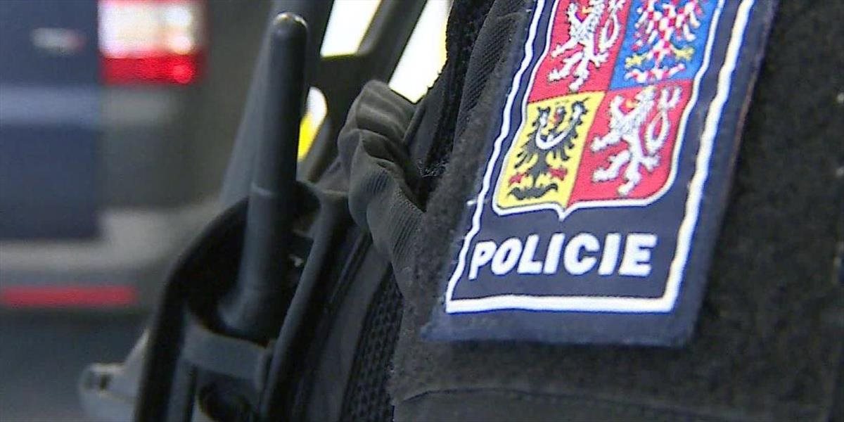 Českí policajti a vojaci budú kvôli migrantom spoločne nacvičovať ochranu hraníc