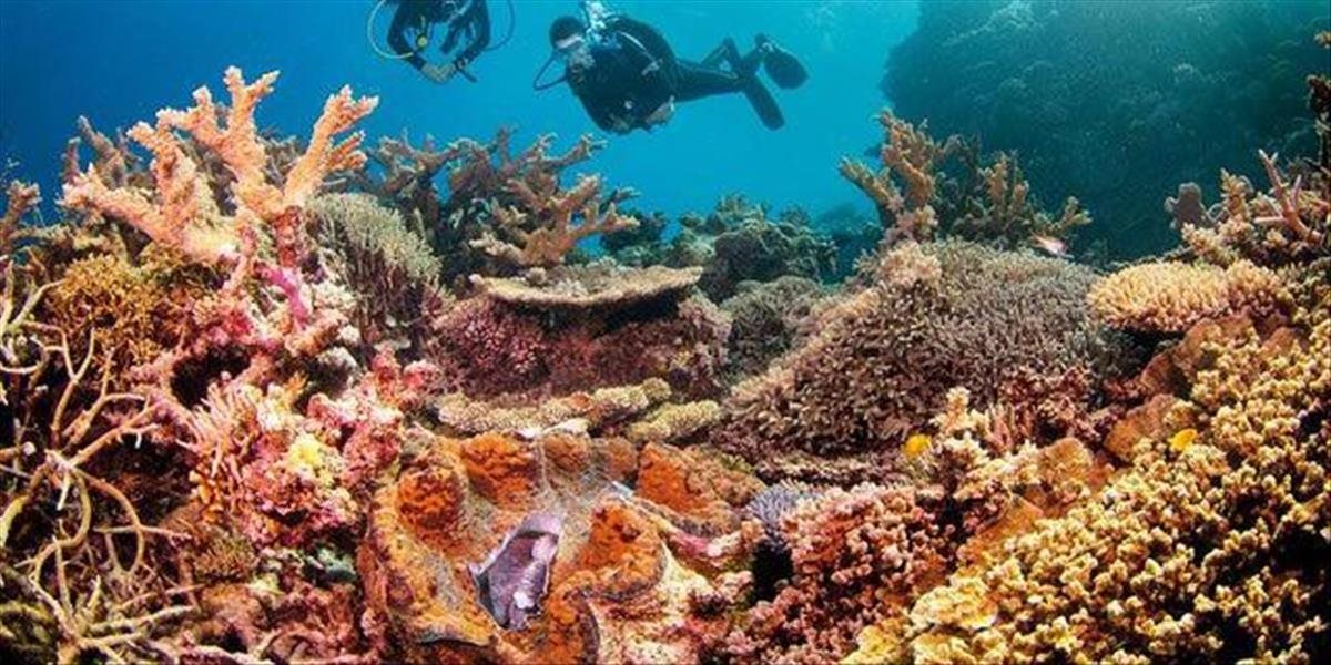Veľká koralová bariéra pri austrálskom pobreží je v zlom stave, zničená je už polovicu koralov