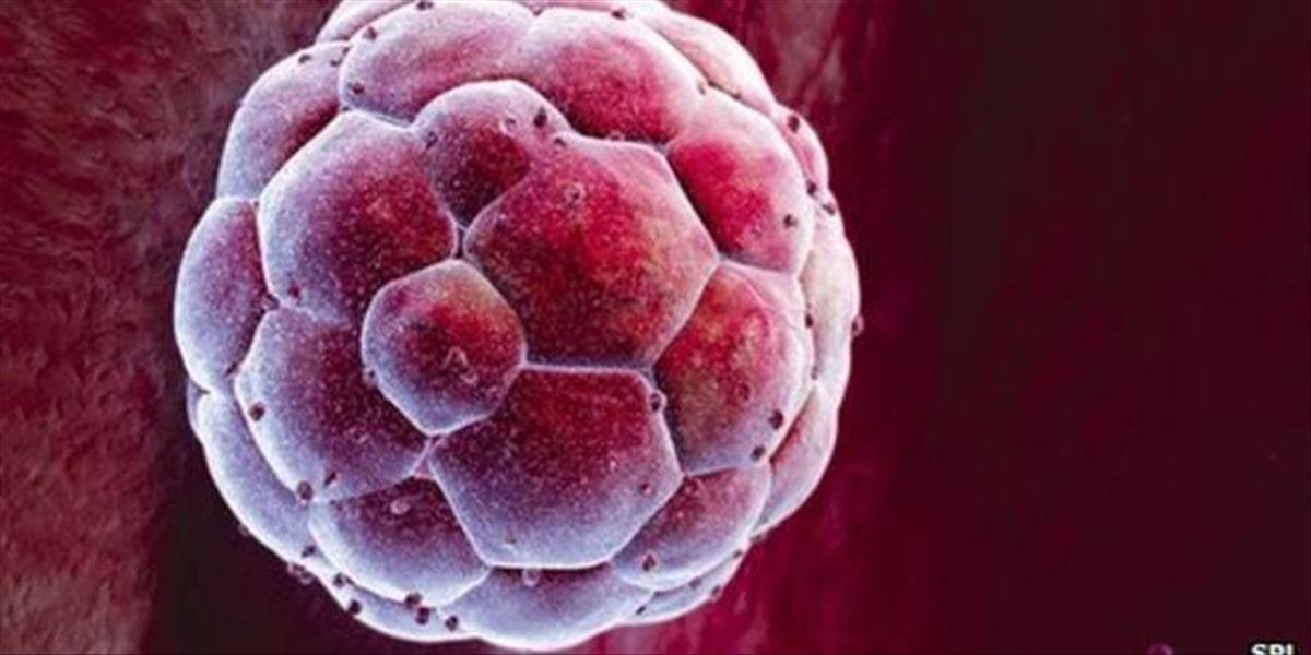 Pokrok alebo záhuba? Vedci chcú geneticky modifikovať ľudské embryá