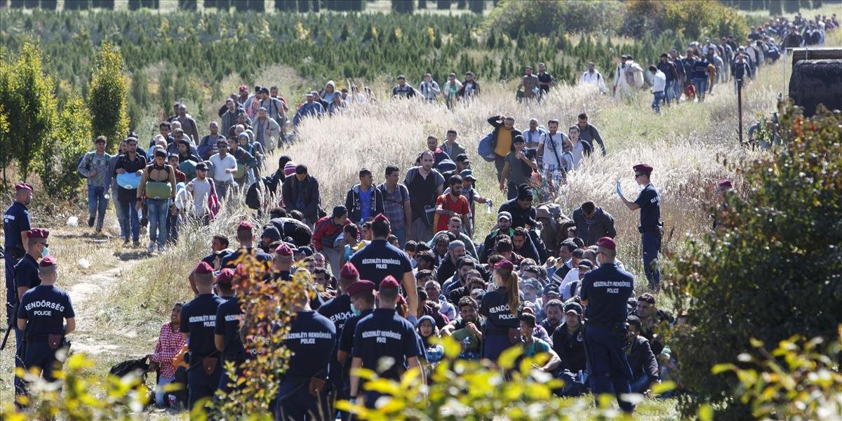 OECD: Európa má schopnosť zvládnuť utečeneckú krízu