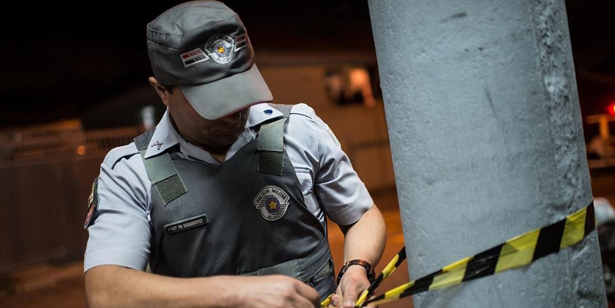 Brazílska polícia objavila na dvore muža sedem tiel