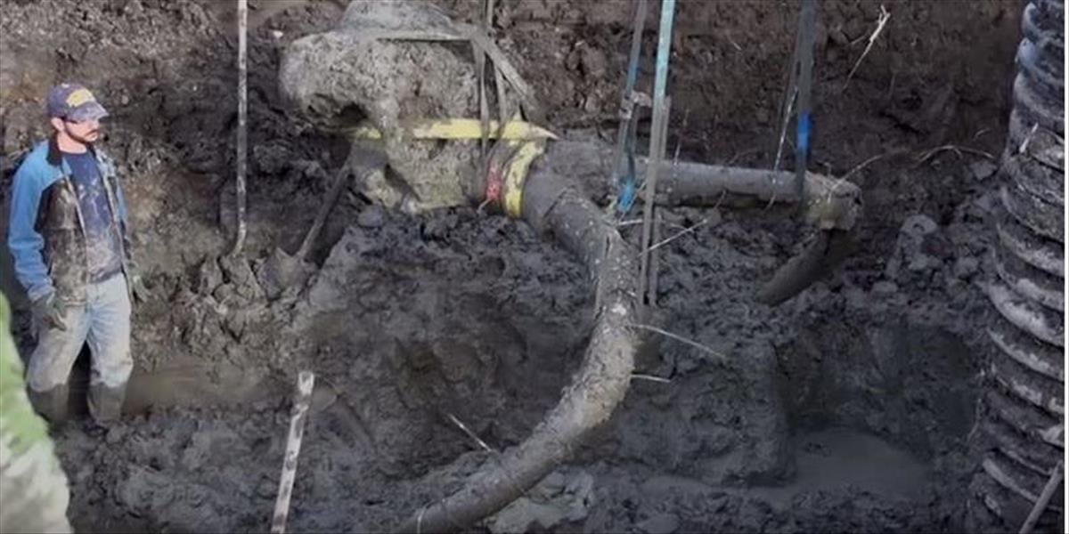 VIDEO Unikátny nález v Michigane: Farmári objavili kostru mamuta, zrejme ho ulovili ľudia