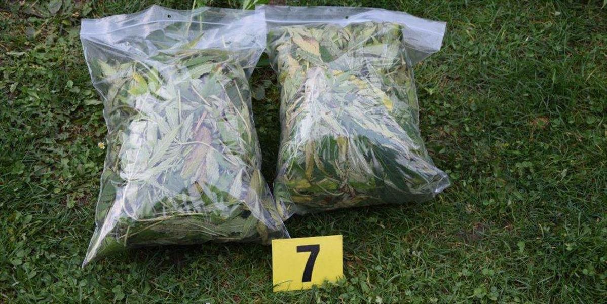 Colníci našli v zásielkach drogy za takmer 70-tisíc