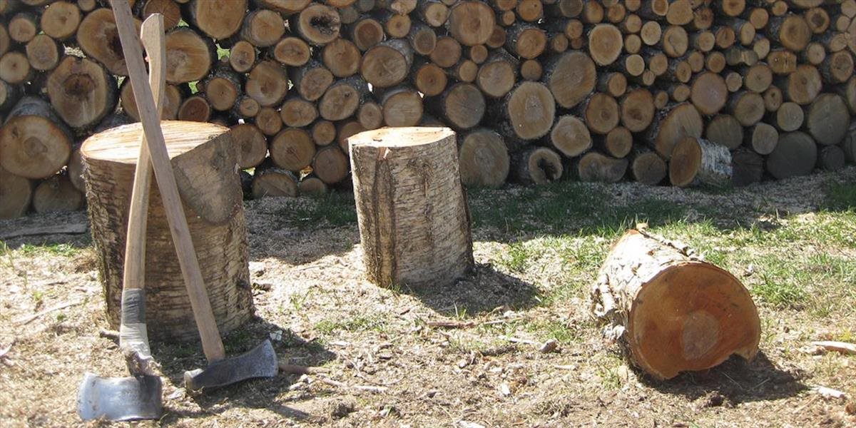 V jesennom období treba dávať pozor na úrazy pri rúbaní dreva a podobne