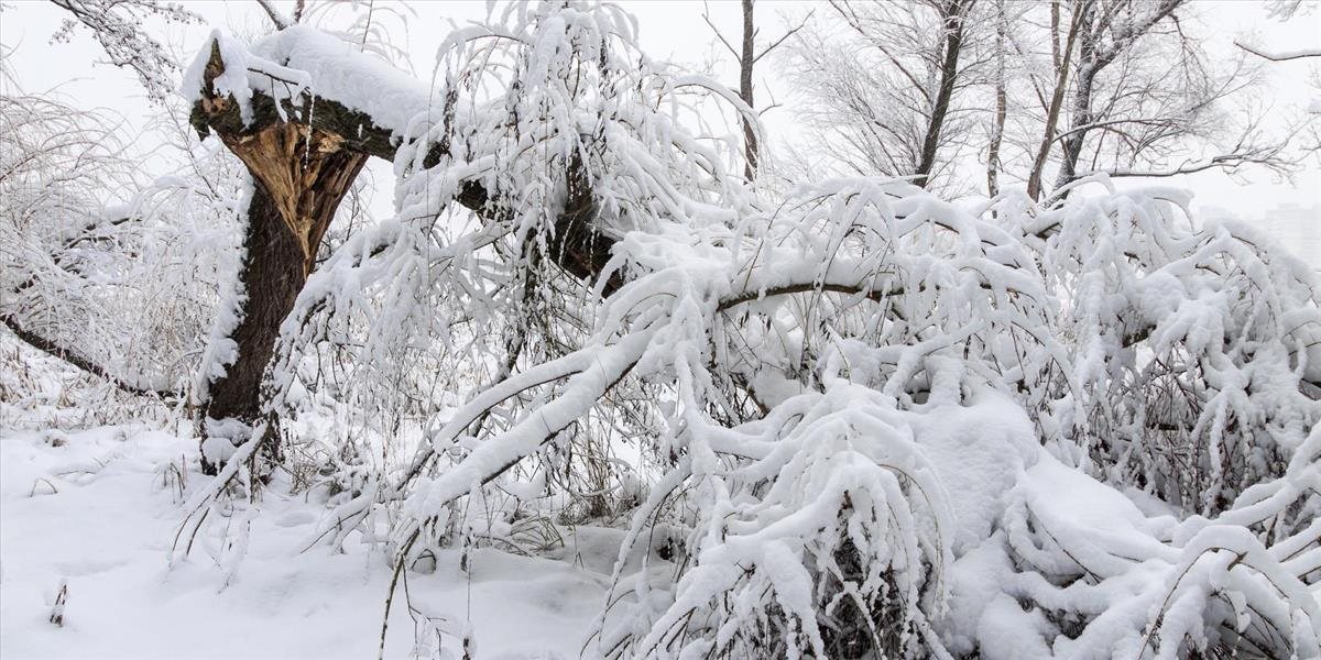 Liptovský Mikuláš pokryla snehová nádielka, váha živlu zlomila strom