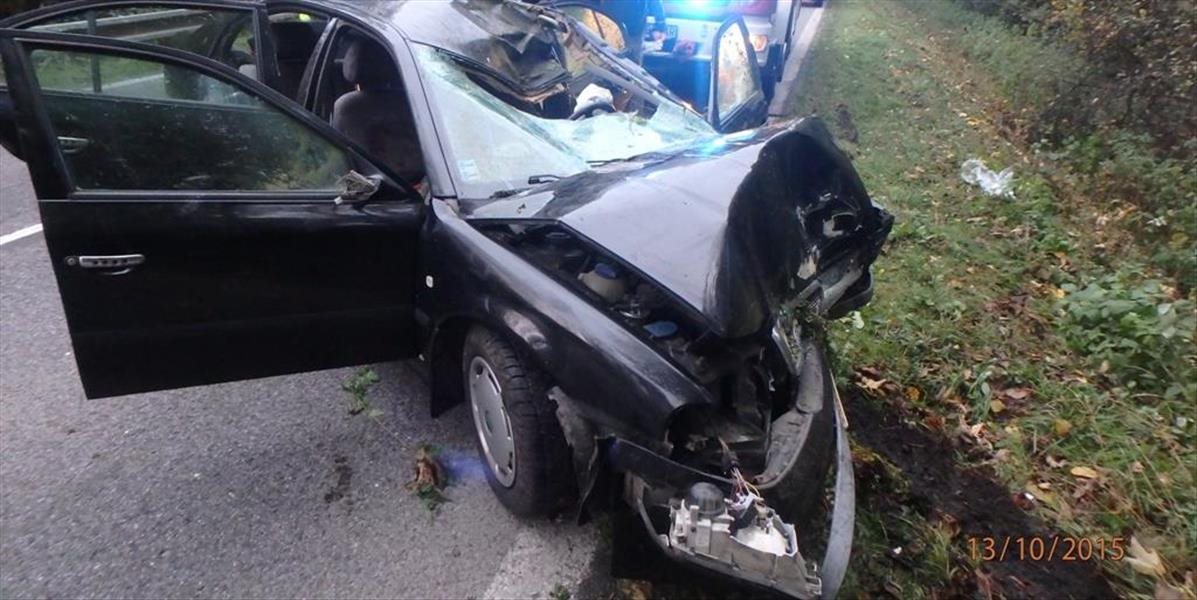 Smrteľná nehoda: Vodič neprežil zrážku so srnkou