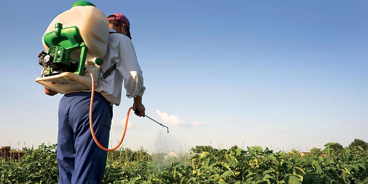 Greenpeace apeluje na liečenie závislosti od pesticídov, varuje pred dôsledkami na ľudské zdravie