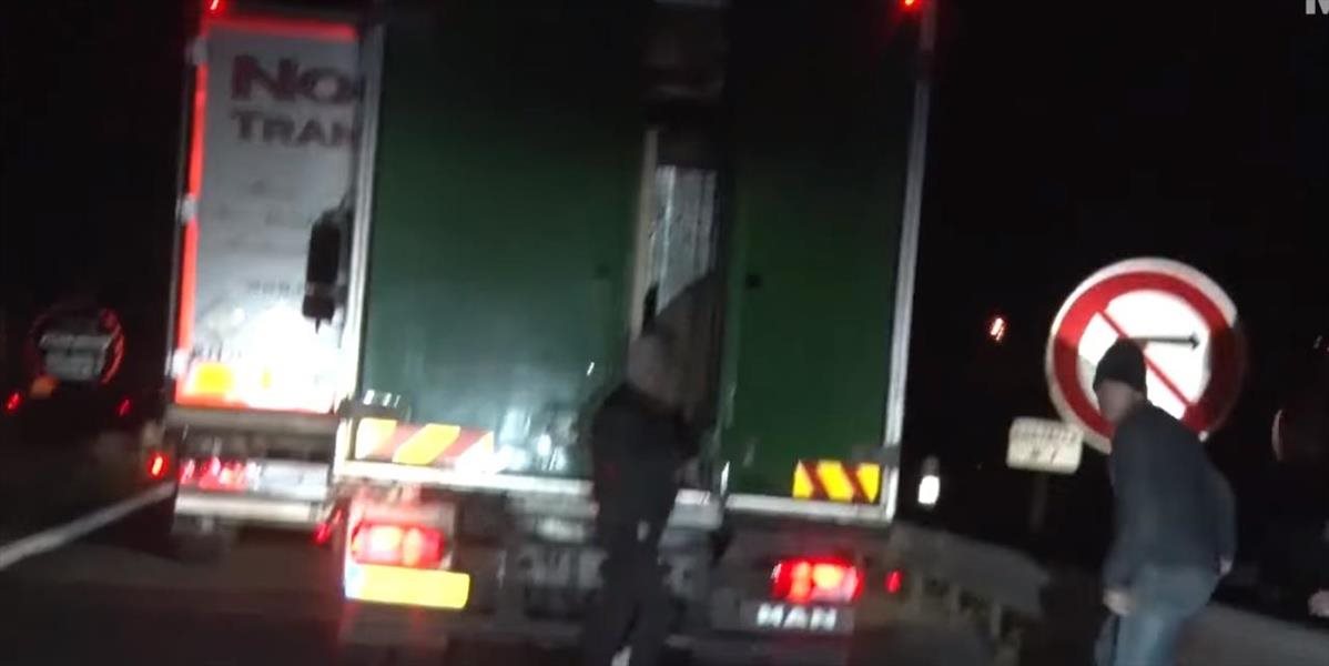 VIDEO Toto utečencom nevyšlo: Vliezli do kamióna s ľadovým medveďom!