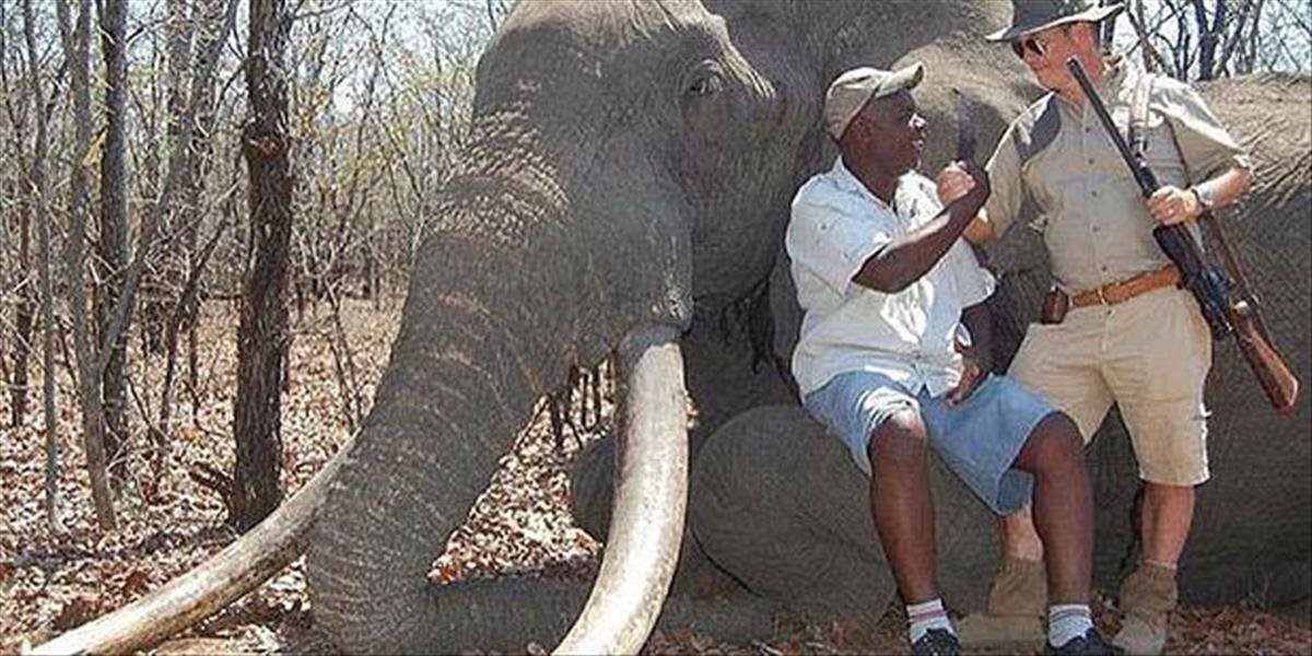 Nemec údajne zastrelil jedného z najväčších slonov v Zimbabwe