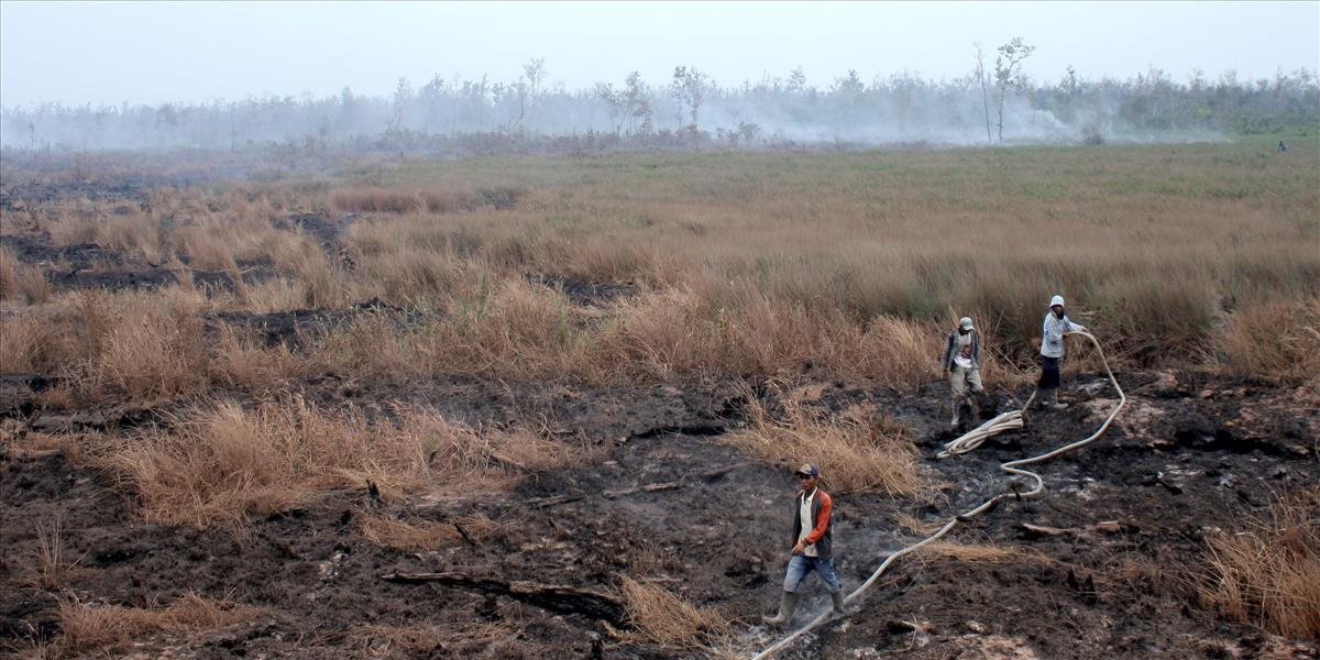 Dážď priniesol v Indonézii úľavu od smogu a lesných požiarov, ale neuhasil ich