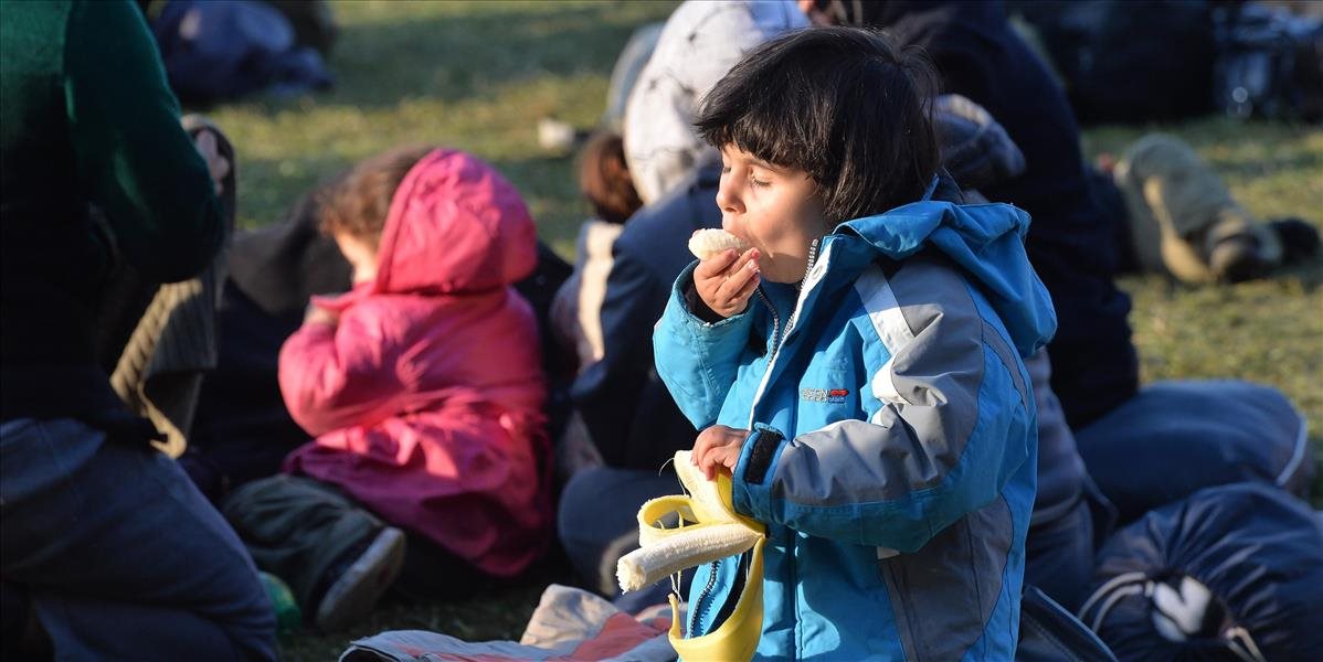 Odhalili skupinu rumunských prevádzačov pašujúcich migrantov z Maďarska