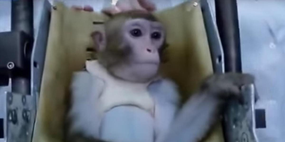 Rusi chcú byť na Marse prví, na kozmickú misiu cvičia makaki