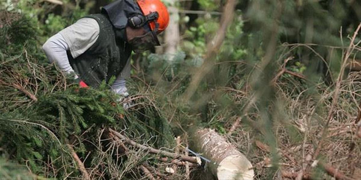 V Sklabinskej doline zavalil muža strom, neprežil to