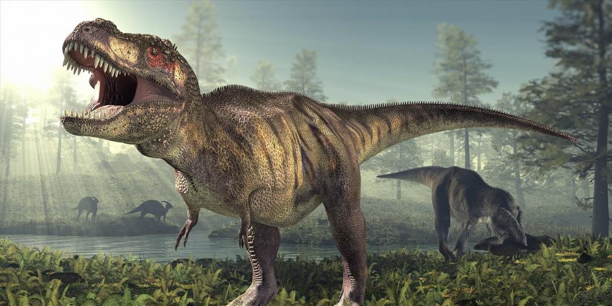 Nové dôkazy naznačujú, že Tyranosaurus rex bol kanibal