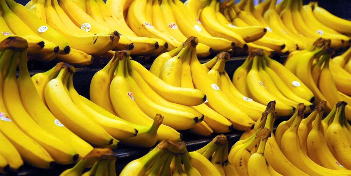 Poliaci sa stávajú veľkými reexportérmi banánov v Európe