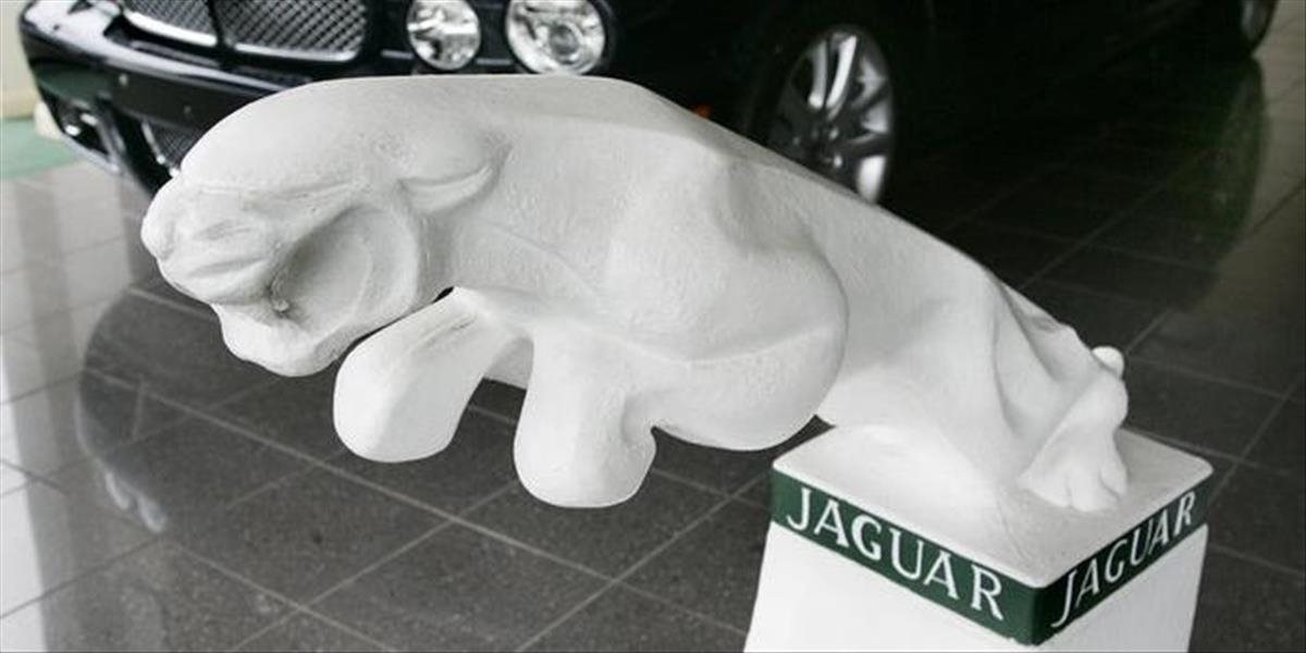 Archeologický výskum pod Jaguarom robí súkromník, štátny ústav nikto neoslovil
