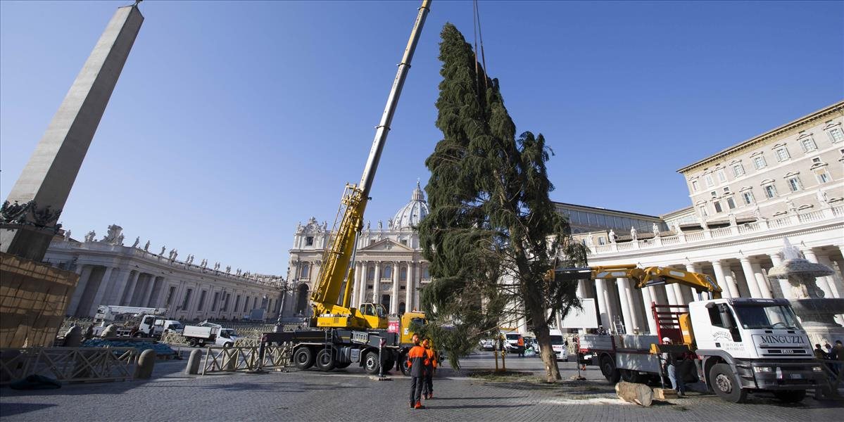 Na Námestí sv. Petra už stojí vianočný stromček