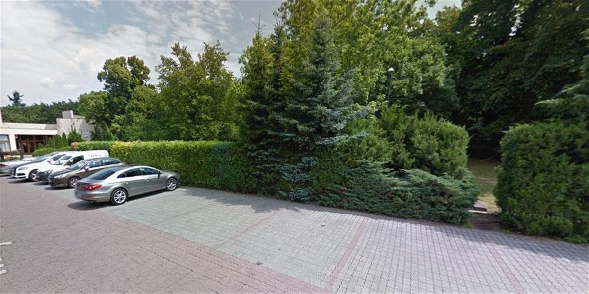 Pri bratislavskom Horskom parku vyrúbali stromy, polícia to preveruje