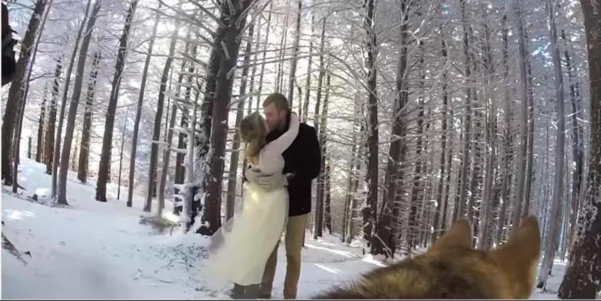 Originálne svadobné VIDEO: Nevesta pripevnila na chrbát svojho psa kameru