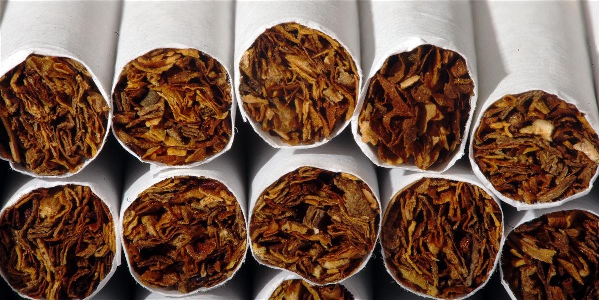 Španielska polícia skonfiškovala vyše 41 ton pašovaného tabaku
