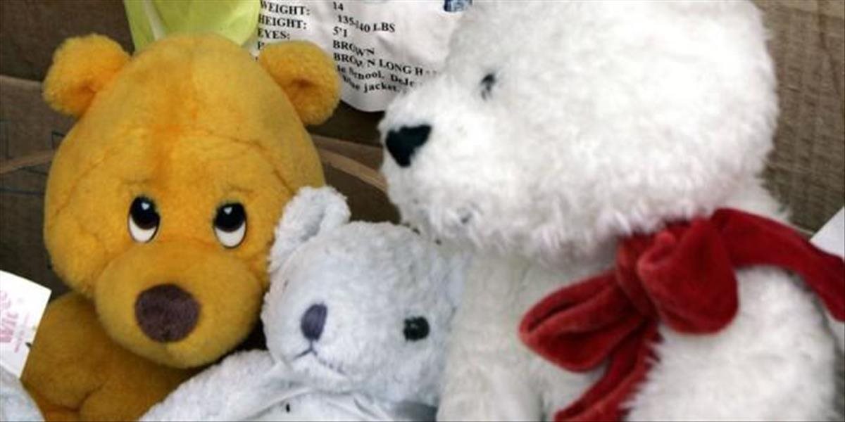 Polícia v kontajneroch z Číny objavila fejkové hračky, škodu vyčíslili na desaťtisíce eur