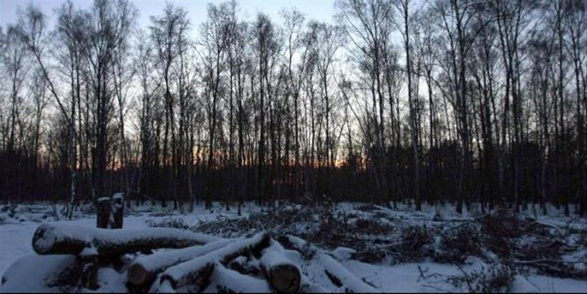 Vojenský zbeh sa ukrýval 12 rokov v lesoch na Kamčatke