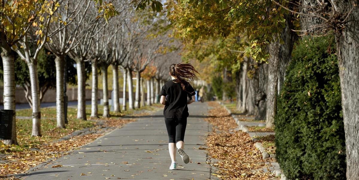 Mimoriadne mierna jeseň priniesla v novembri teplotné rekordy