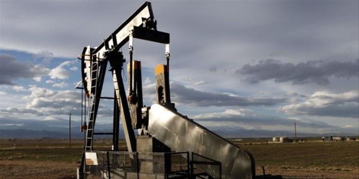 Členovia OPEC nemajú v úmysle znížiť ťažbu komodity, aby zvýšili jej cenu