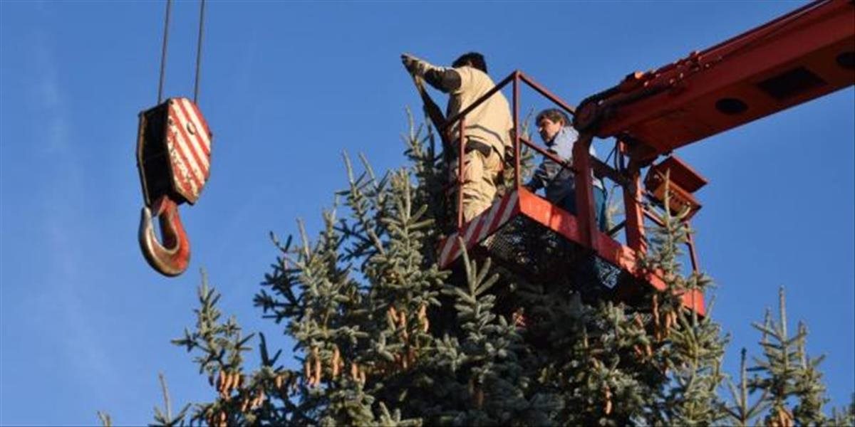 V Ostrave na námestí spadol vianočný stromček, na vine je zrejme vietor