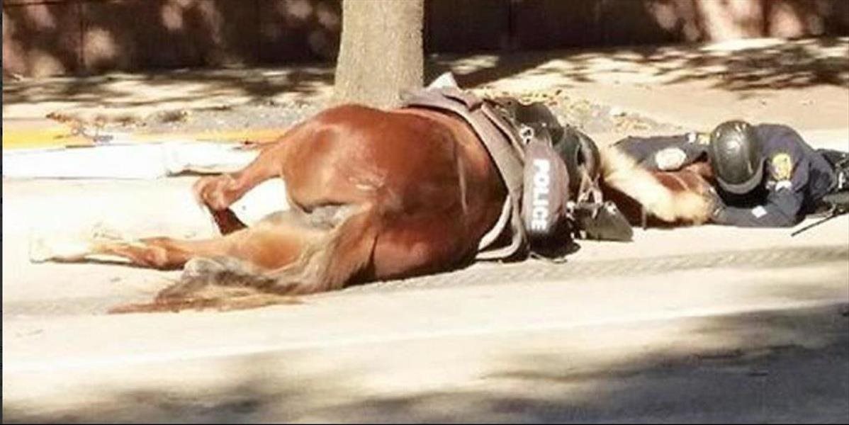 Srdcervúca FOTO: Policajt nechcel opustiť svoju umierajúcu kobylu