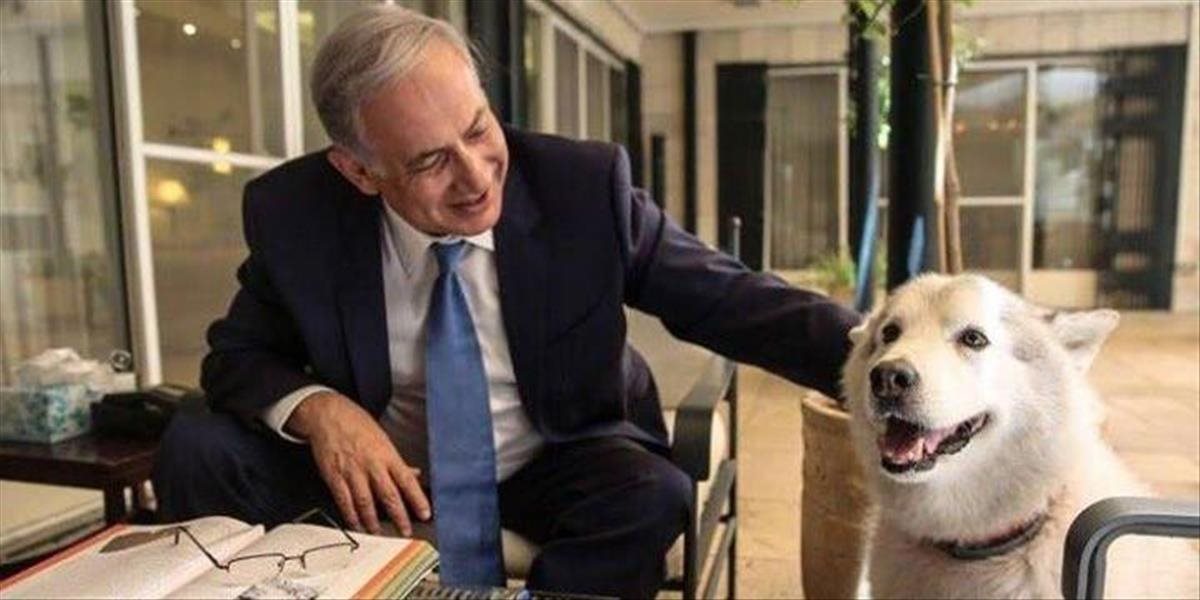 Netanjahuova sučka pohrýzla na oslave Sviatku svetiel dvoch hostí