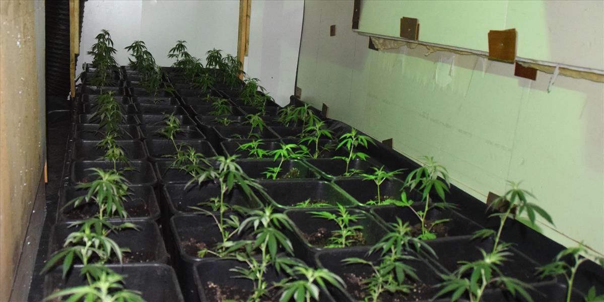 Polícia odhalila v obci Starina laboratórium na pestovanie marihuany