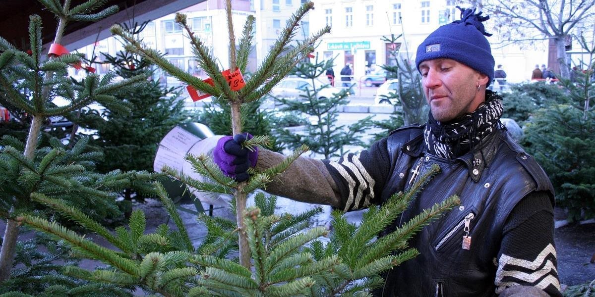 Lesy SR tento rok ponúkajú na trh 5000 vianočných stromčekov
