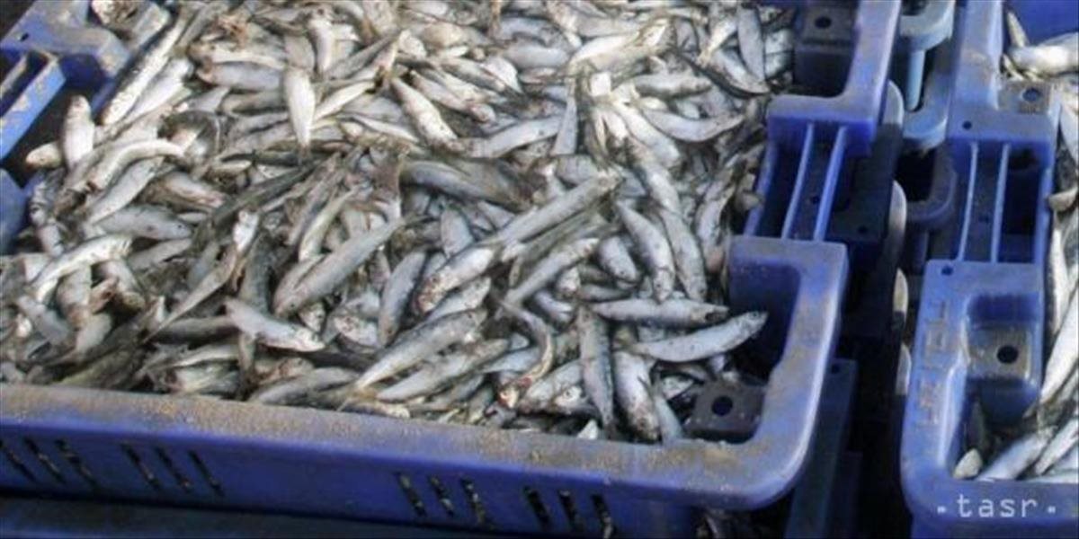 Thai Union kúpi najväčšieho nemeckého producenta rybích konzerv Rügen Fisch