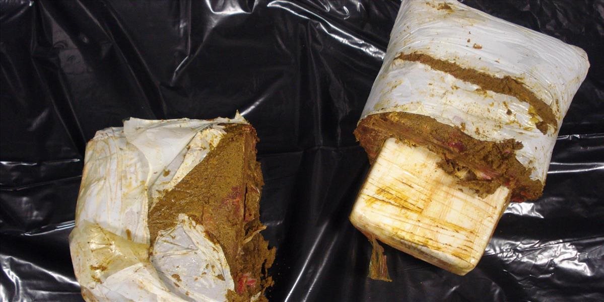 Poľská polícia zhabala rekordné množstvo kokaínu z Kolumbie