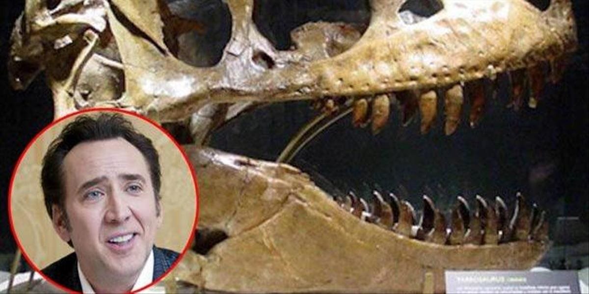 Nicolas Cage vráti lebku dinosaura, ktorú prepašovali z Mongolska