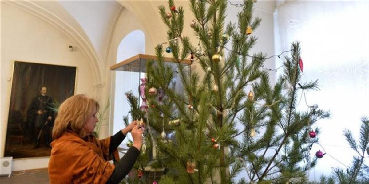 OLO začne od pondelka odvážať vianočné stromčeky