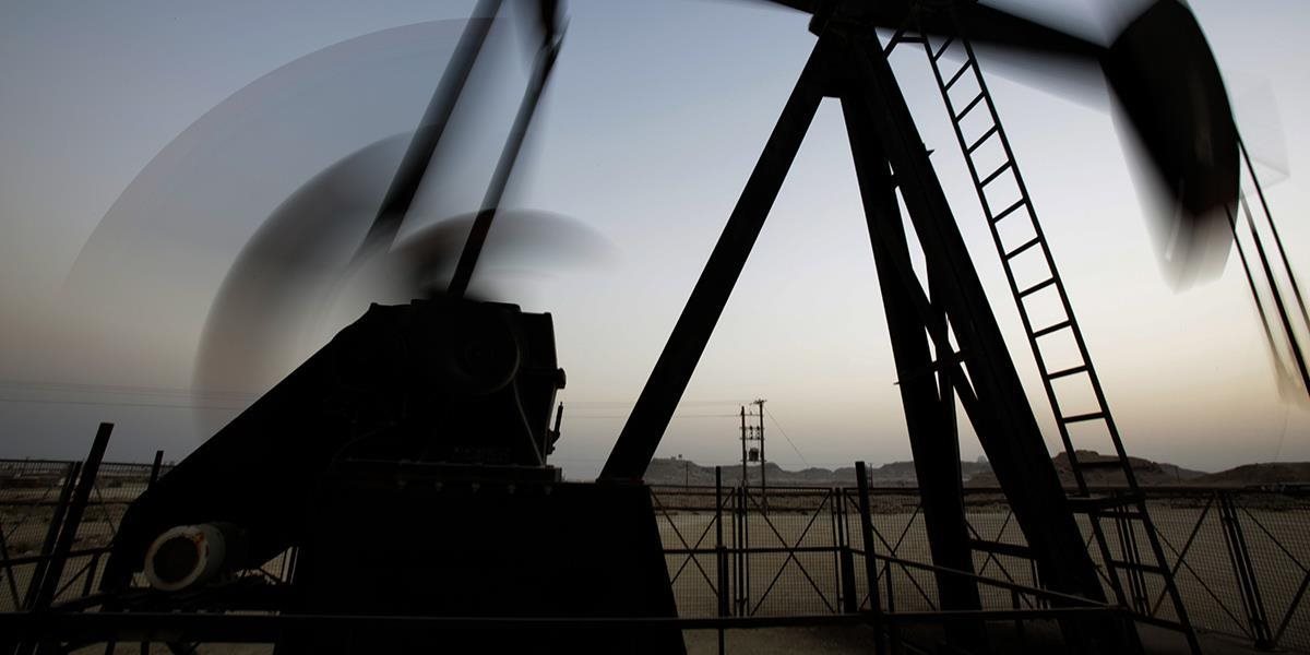 Ruský Transnefť zvýšil vývoz ropy tento rok o vyše 7 % na takmer 230 mil. ton