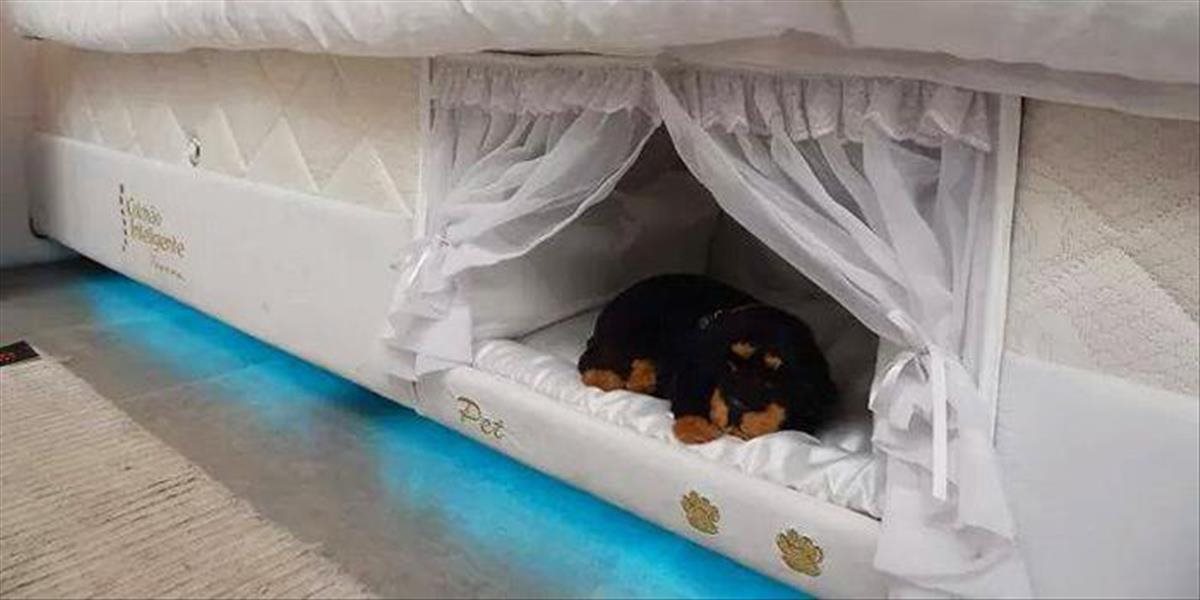 FOTO Jedinečný spôsob, ako spať so svojím psom v jednej posteli