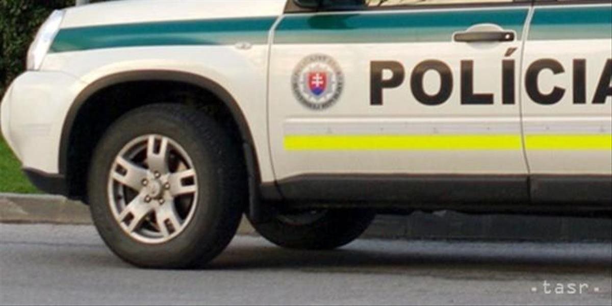 Polícia varuje šoférov, po R1 v smere na Sereď pobehujú teliatka