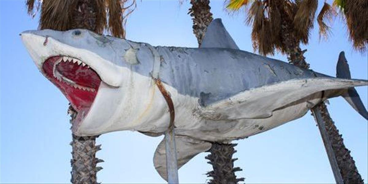 Zbierku Múzea akadémie obohatil model žraloka z filmu Čeľuste
