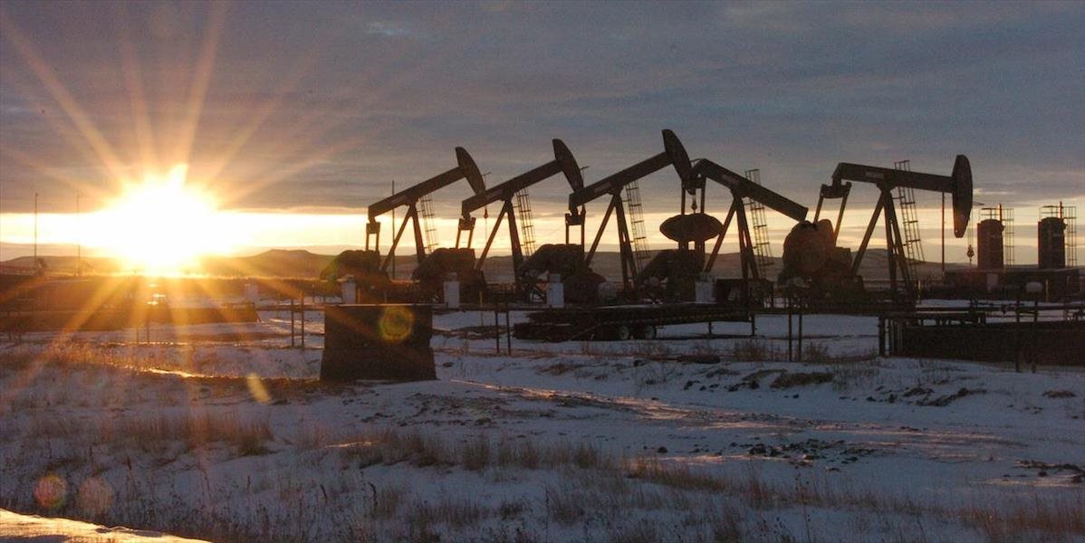 Na vývoj ruskej ekonomiky budú tento rok vplývať ceny ropy aj sankcie