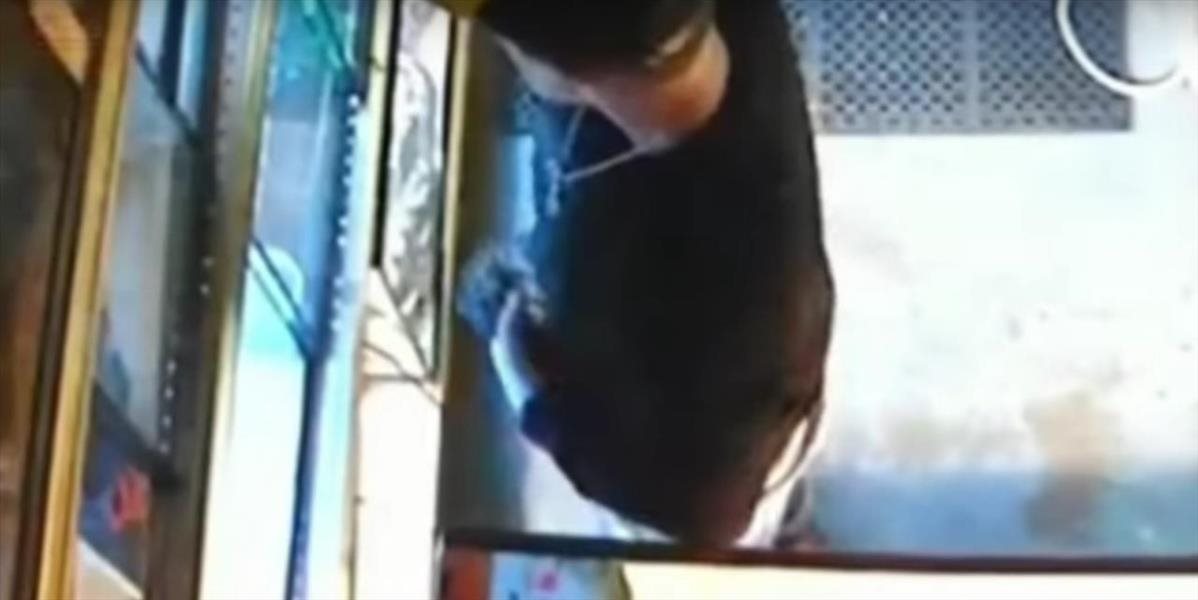 VIDEO Kuriózna krádež: Zlodej ukradol pytóna, zasunul si ho do nohavíc
