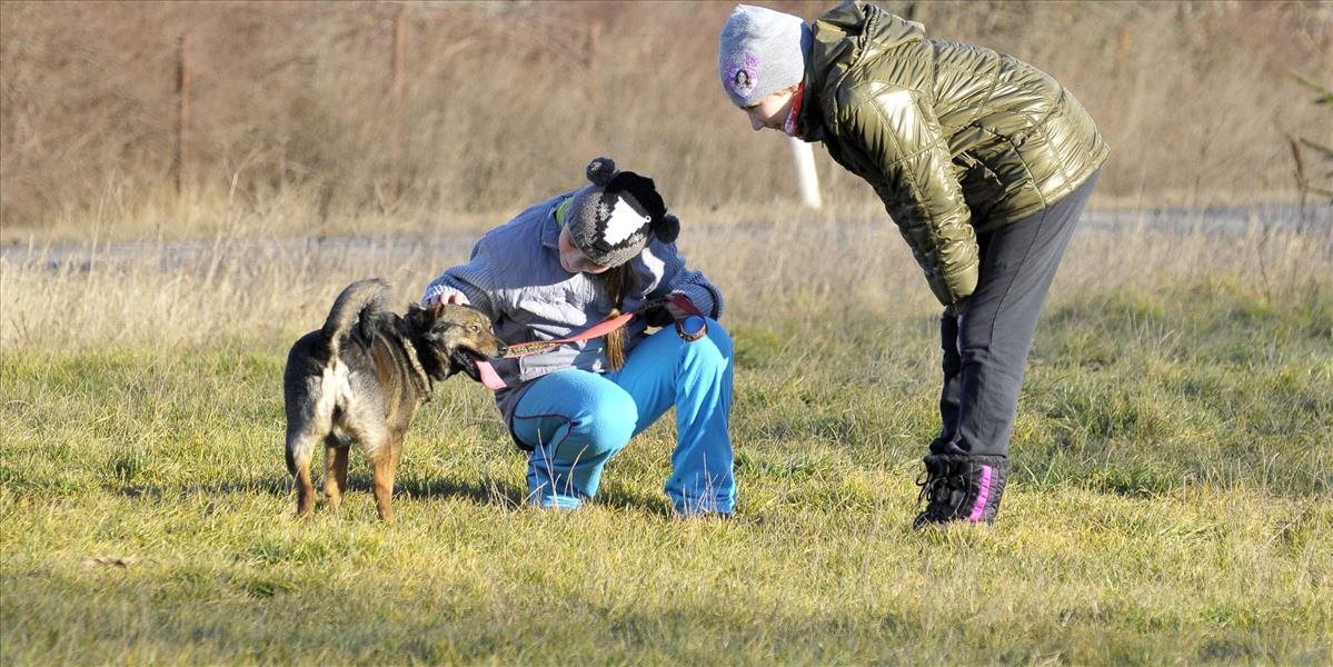 Sloboda zvierat pomohla týraným zvieratám na celom Slovensku