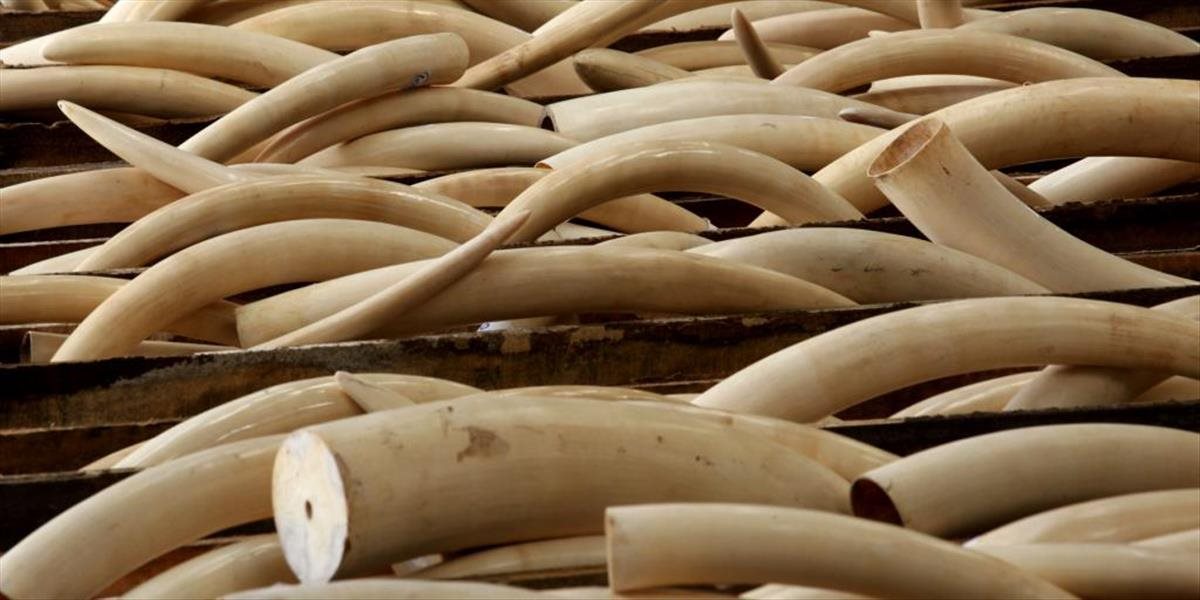 Hongkong sprísni opatrenia ohľadne obchodovania so slonovinou