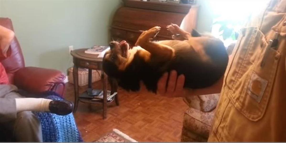 VIDEO Tento pes predstiera svoju smrť, keď ho vezme do rúk cudzí človek