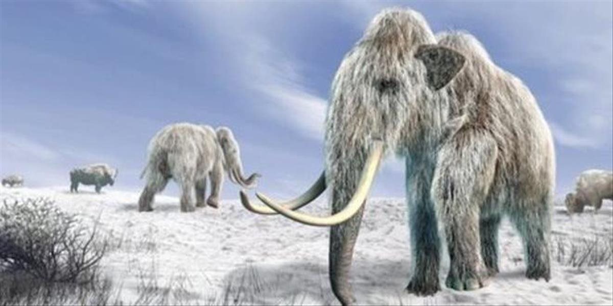 Šokujúci objav: Ľudia žili v Arktíde o 10 000 rokov skôr, prezradila to zamrznutá mŕtvola mamuta