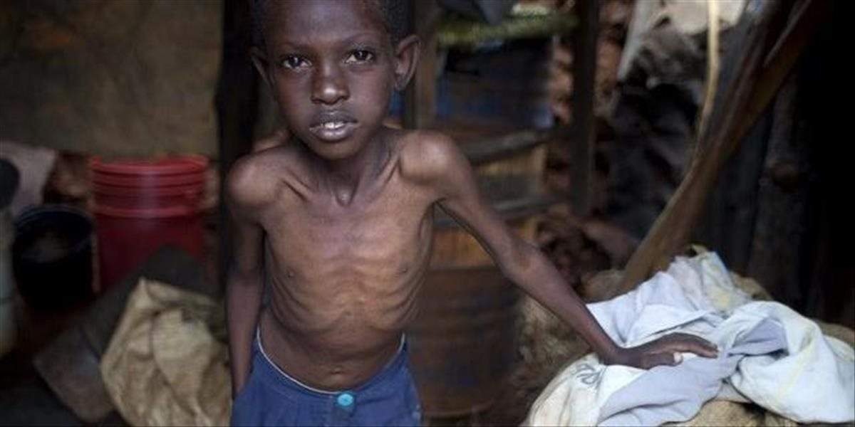 Hlad a sucho ohrozuje až 14 miliónov ľudí v južných oblastiach Afriky