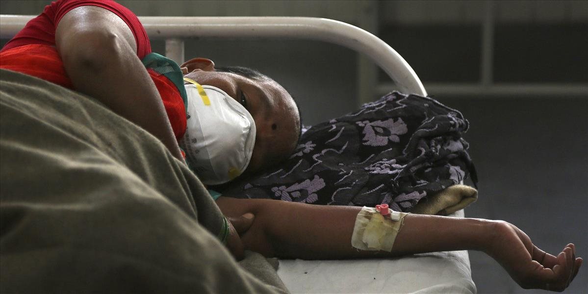 Na prasaciu chrípku zomrelo v Sýrii od vlaňajšieho septembra 11 ľudí