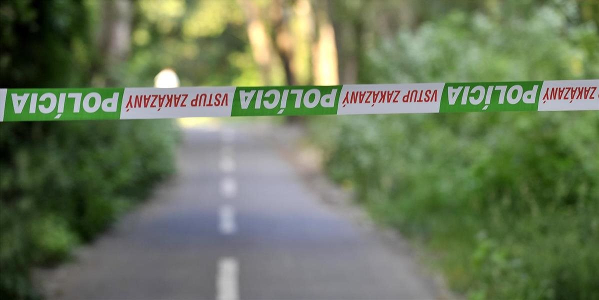 Polícia zadržala v Bratislave medzinárodne hľadanú osobu: V meste sa aj strieľalo